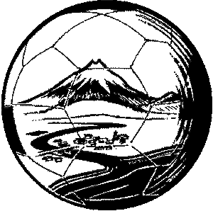 Waitara Soccer Club