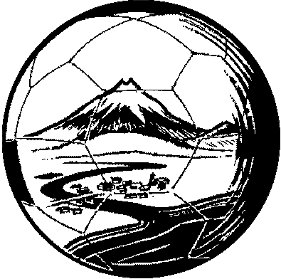 Waitara Soccer Club