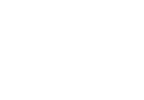 Game Changer logo